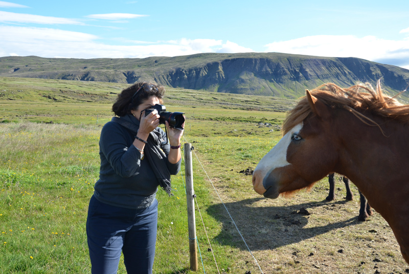 Iceland-Iceland PhotoWorkshop in 2015 - In action with horses