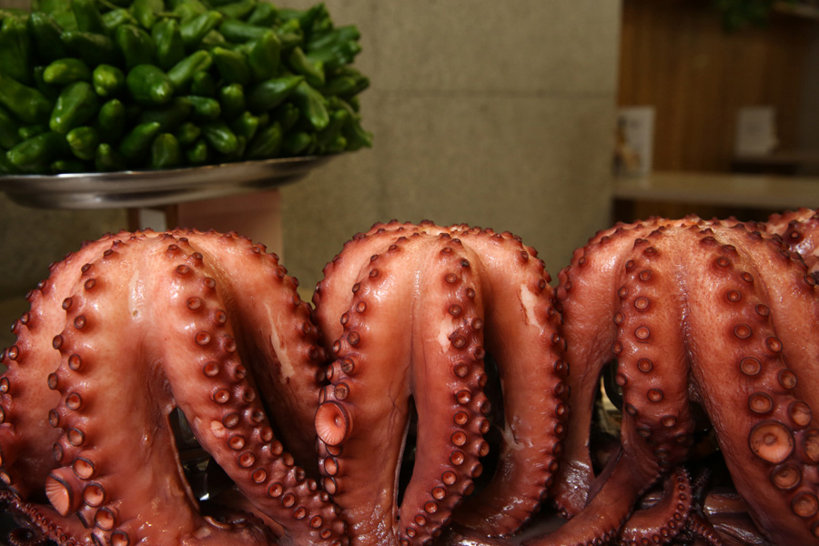 On the Footsteps of St James, The Basque Country and Beyond - Octopus and pepper in Galicia