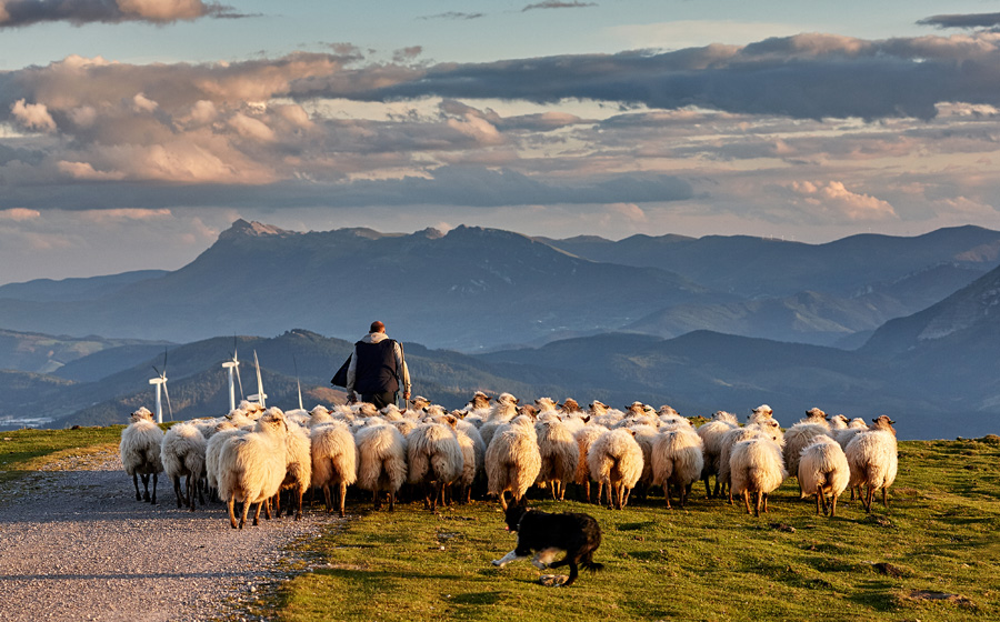 Spains Basque Country La-Rioja and Catalonia - Sheeps and mountains