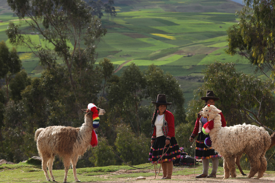 Splendors of the Land of the Inca - Sheeps and traditional women