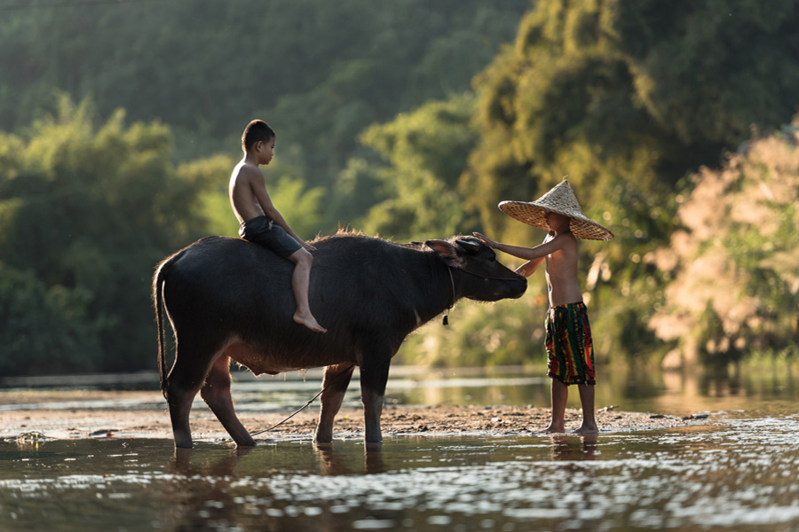 Wonders of Indochina - Nature meets human